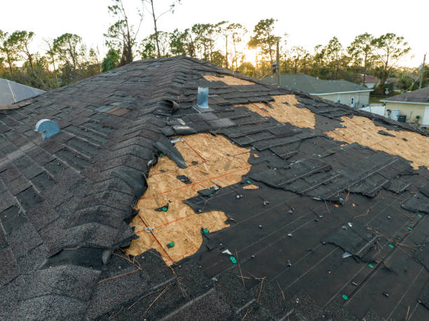Best Wood Shake Roofing  in Lake Darby, OH